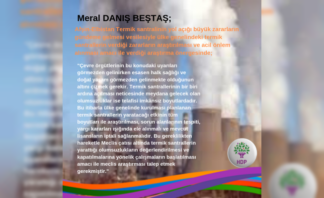 Termik Santrallerin Neden Olduğu Zararlar İçin Araştırma İstedi