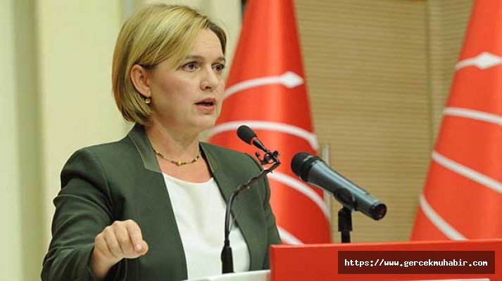 CHP'li Selin Sayek Böke'ye önemli görev