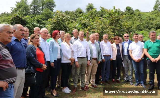 CHP'den AKP'ye Fındık ile ilgili "Poz vermeyin, Fiyat verin" Çağrısı