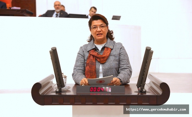 CHP'li Şahin: AKP'nin politikaları gençleri ülkeden kaçırıyor!