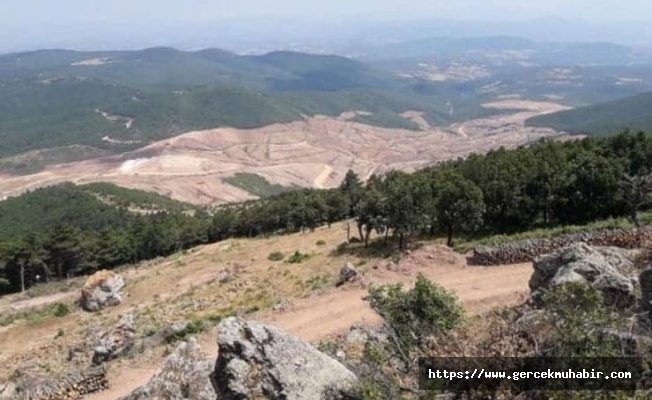 Kanadalı şirket Kaz Dağları’nda risk analizi yapmış: Tepkiler üç ila altı ay geciktirebilir