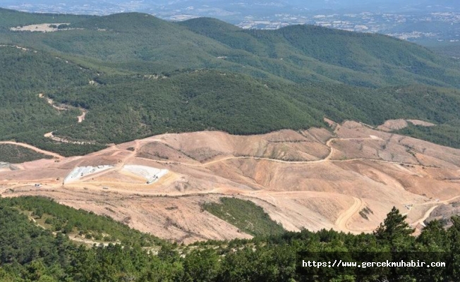 Kaz Dağları'nı bekleyen felaket: 40 şirket daha sırada