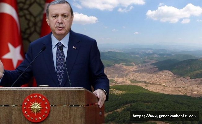 Kaz Dağları’ndaki katliamdan sonra Erdoğan’ın o konuşması yeniden gündem oldu