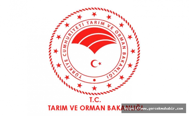 THK uçaklarına "Pahalı" denmişti; Orman Bakanlığı 520 bin liralık eşantiyon için sözleşme imzalamış