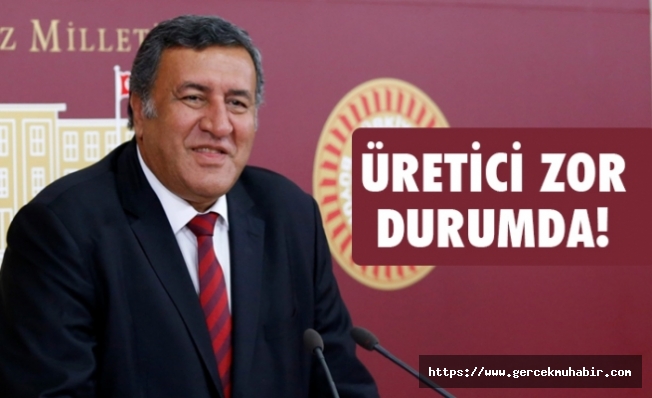 Gürer: "Fiyatı 10 kuruşa kadar düşen karpuz, tarlada kaldı"