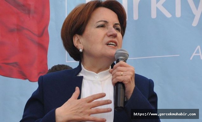 Meral Akşener: Erdoğan'ın böyle bir çılgınlığa müsaade edeceğini sanmıyorum
