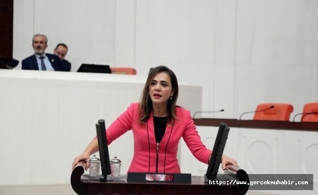 CHP'li İlgezdi: “Can güvenliğimiz yok diyen öğrencilerin sesini rektörlük ne zaman duyacak?”