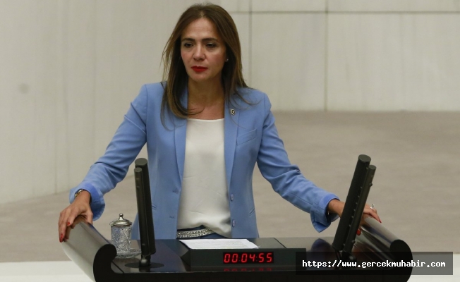 CHP'li İlgezdi: "Halkın sanat hakkının hiçe sayıldığı bir bütçe"