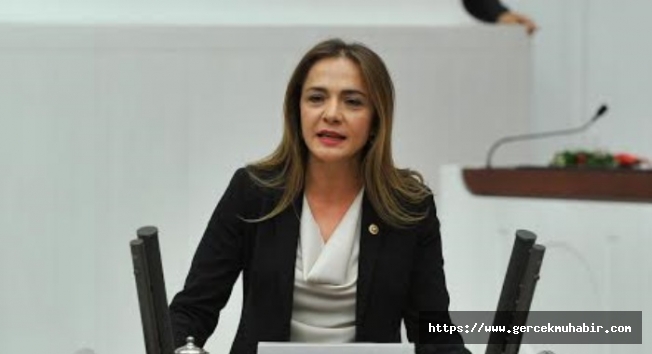 CHP Genel Başkan Yardımcısı İlgezdi: "İç Turizm Takip Sistemi, fişlemedir, tam bir kanunsuzluktur!"