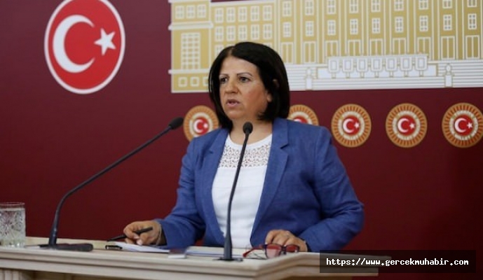 HDP: Bu yıl da halka değil daha çok savaşa ve örtülü ödeneklere bütçe ayrıldı