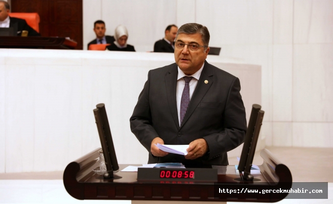 Sındır: "Üreten bir ekonomi için Tarım Bakanlığı'nın bütçesi arttırılmalı"