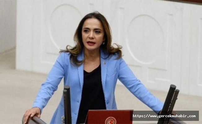 CHP Genel Başkan Yardımcısı İlgezdi: “Sayıştay, Bakanlığı Yalanlıyor”