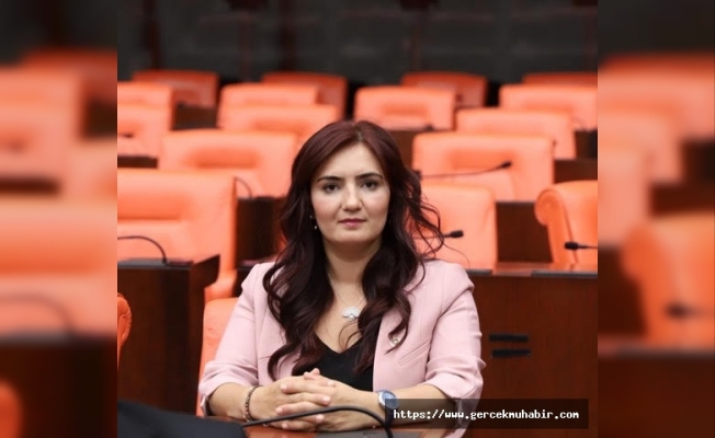 CHP’li Kılıç: “Kamuda engelli çalıştırma oranı yüzde 5’e yükseltilsin”
