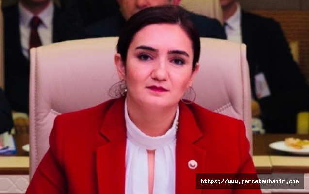 CHP’li Kılıç: “Komisyon diğer şüpheli çocuk ölümlerini de araştırsın”