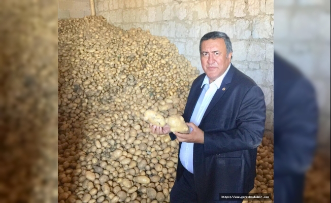Patatesler depoda kaldı, 'stokçu' diye depo basan Bakan ortada yok..