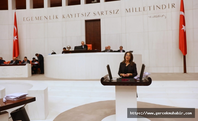 Oya Ersoy; ''Çözüm yok çünkü; bu halkın bütçesi değil!" Oya Ersoy; ''Çözüm yok çünkü; bu halkın bütçesi değil!"
