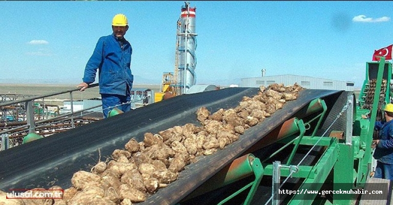 3 şeker fabrikasının, formalisi yasal sınırın üzerinde kullandı!