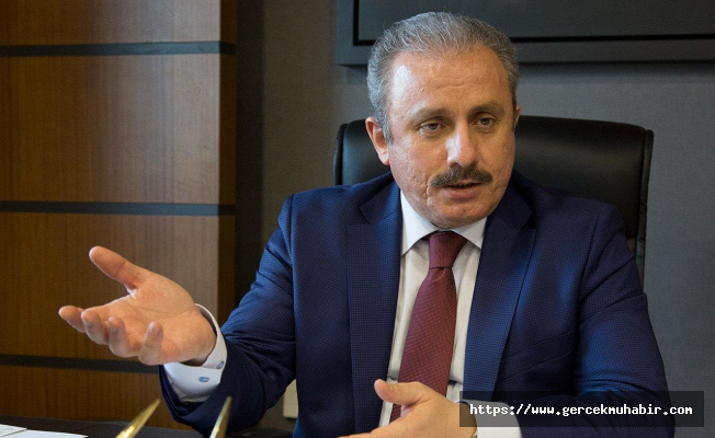 Şentop: Siyasi ayak için ayrı mecra düşünmeye gerek var mı?