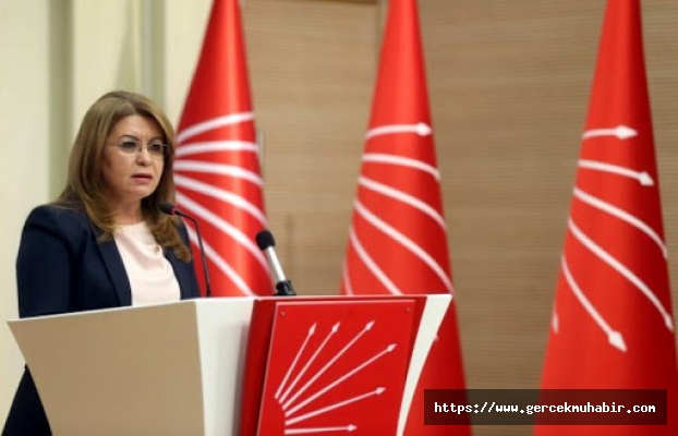 CHP'den su stresi raporu: Dünya Su Günü'nde yaşam ve su stresindeyiz, su kanunu çıkarılmalı