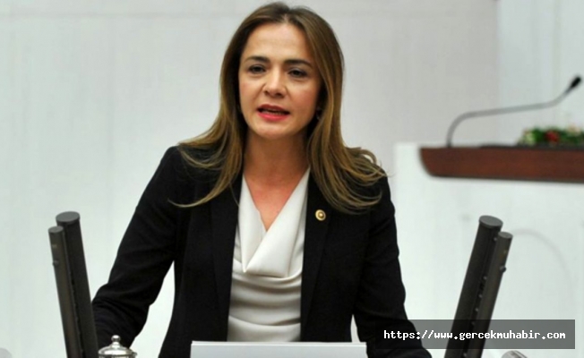 CHP'li İlgezdi: "Ya virüs ya çaresizlik, çocukların payına hep ölüm düşüyor!"
