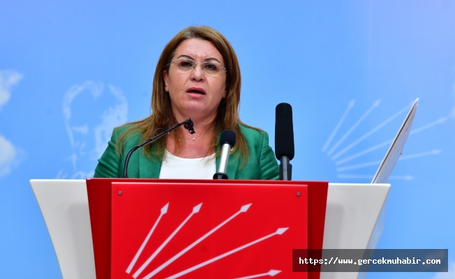 CHP'li Karaca: THK uçakları ve taşınmazları neden satılıyor?