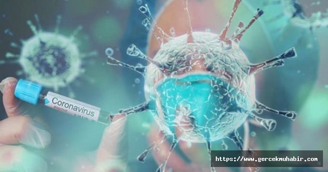Koronavirus 42 Gun Sonra Bulasici Hastaliklar Listesine Eklendi Haberi