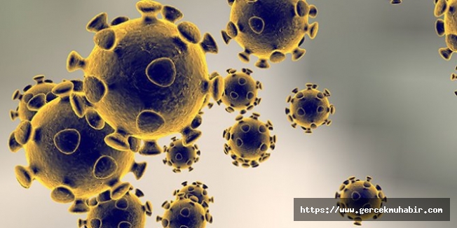 Özel rapor basına sızdı: Önlem alınmazsa 100 bin insan ölür