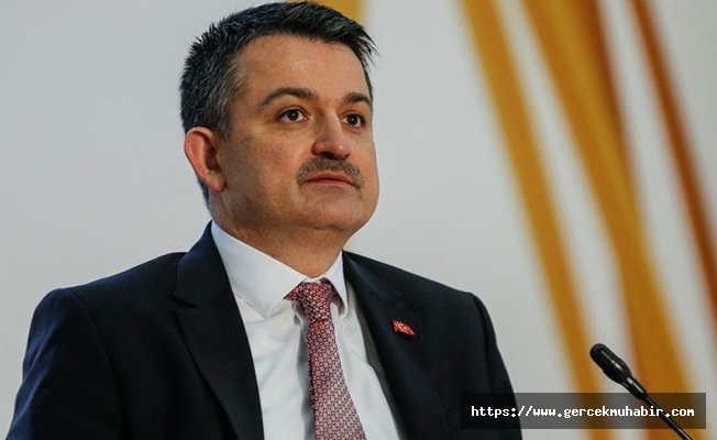 Bakan Pakdemirli'nin açıkladığı fındık rekoltesine MHP ve CHP’den sert tepki