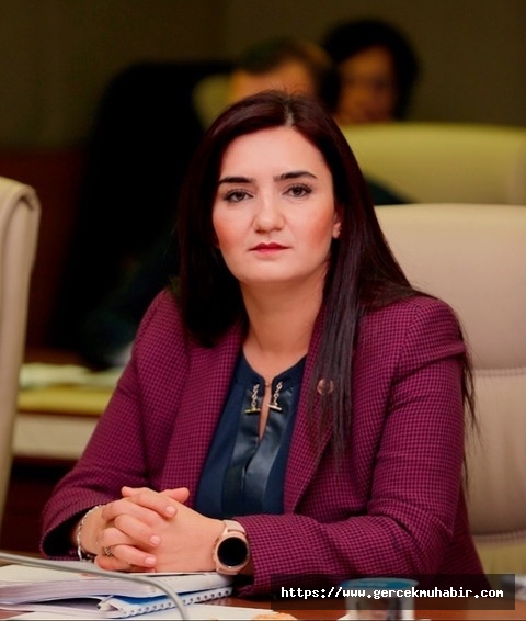 CHP'li Kılıç: Kadın cinayeti değil, erkek vahşeti