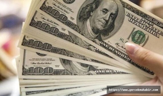 Dolar Kuru Bugun Ne Kadar 23 Temmuz 2020 Dolar Euro Fiyatlari Haberi