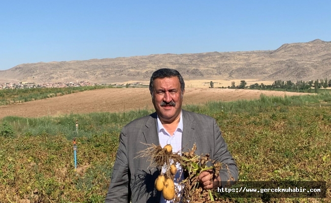 Gürer: “1 ton patates, 1 çeyrek altın etmiyor”