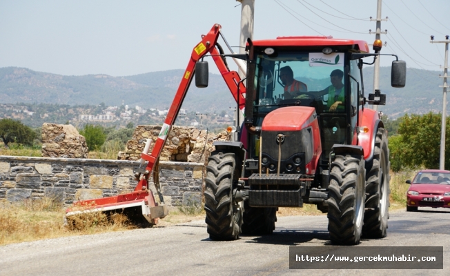 BODRUM'DA YOL KENARLARINDA TAMBURLU TEMİZLİK
