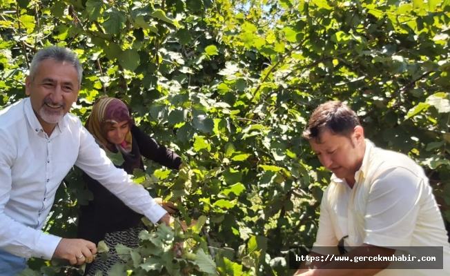 Dr. Mustafa Adıgüzel, Fındık Bahçesinden Seslendi