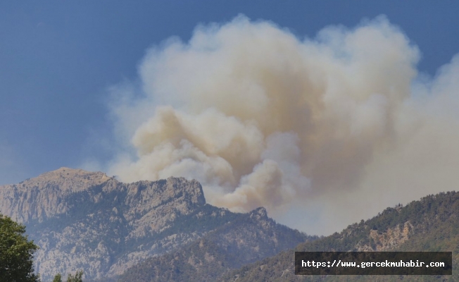 Adana'da dört gündür devam eden yangın kontrol altına alındı