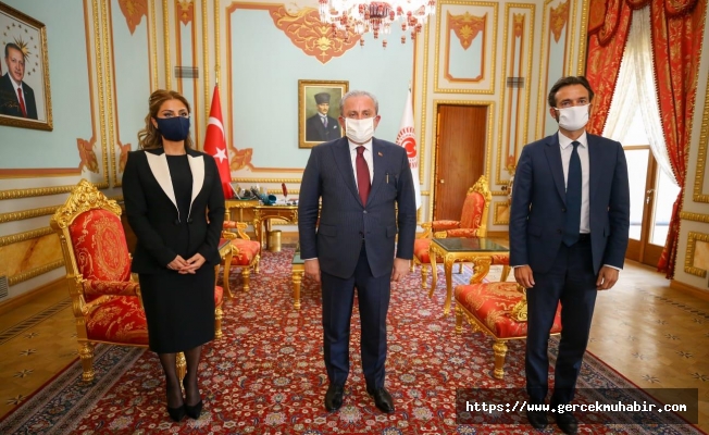 Meclis Başkanı Şentop, AİHM Başkanı Spano İle Görüştü