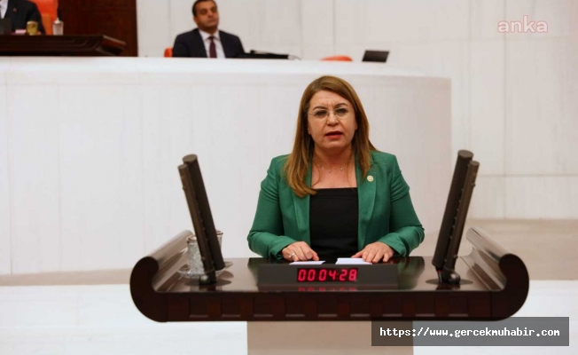 CHP hayvan hakları için 4 farklı yasa teklifi verdi