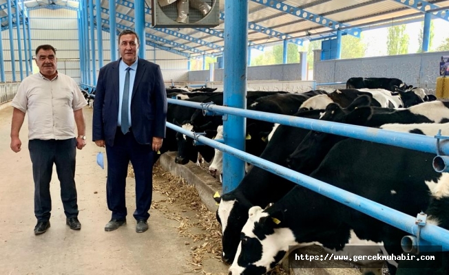 Gürer: “Çiğ süt  fiyatı sabit, süt mamullerinin fiyatı artıyor”