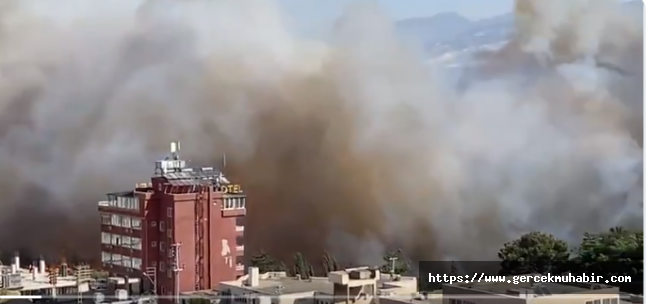 Hatay'da Çıkan Orman Yangını Yerleşim Yerlerine Yaklaştı