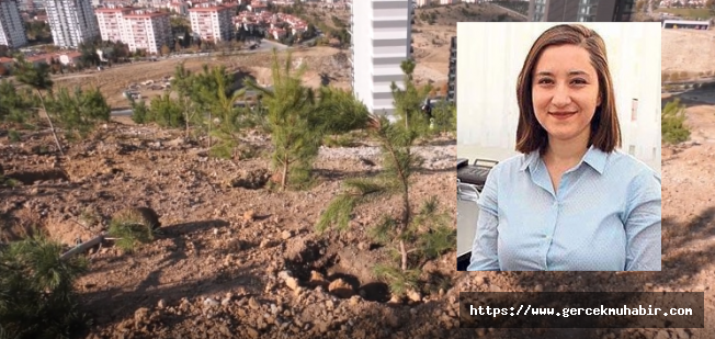 Ceren Damar Şenel'in adı Ankara'da hatıra ormanında yaşayacak