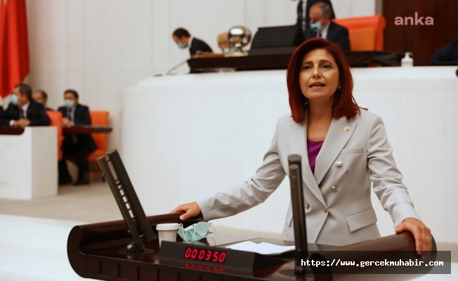 CHP İstanbul Milletvekili Emine Gülizar Emecan'ın koronavirüs testi pozitif çıktı
