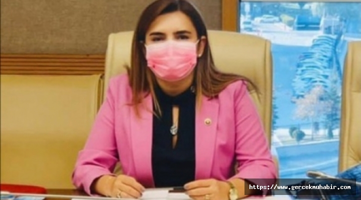 Deprem Araştırma Komisyonu Üyesi Kılıç; “Bu Komisyon teknikten öte vicdani bir komisyon”