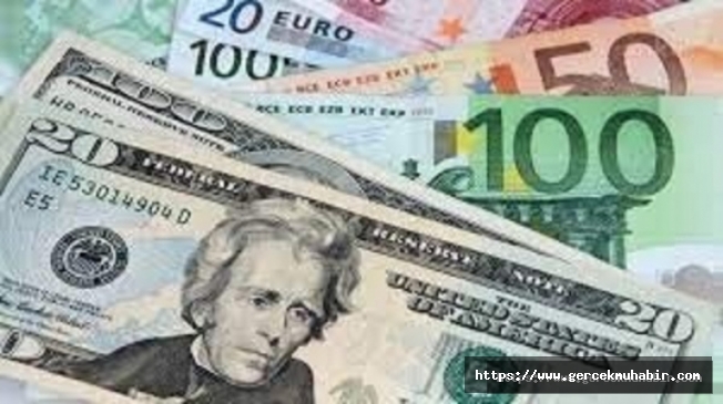 Dolar 8,5 TL'ye, Euro 10 TL'ye dayandı