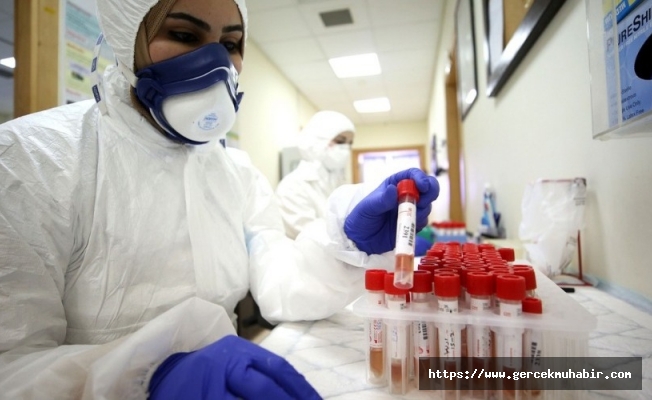 Koronavirüsten hayatını kaybeden hemşirelerin sayısı Birinci Dünya Savaşı'ndakiyle eşitlendi