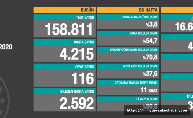 Türkiye'de koronavirüsten 116 kişi daha hayatını kaybetti