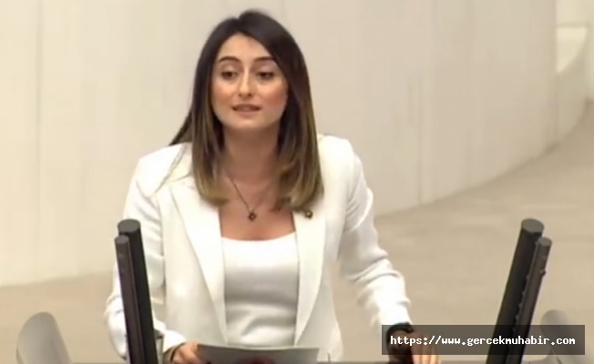 CHP'li Bankoğlu: TTK işlevsiz hale getiriliyori, yabancılar değerlerimizi sömürüyor