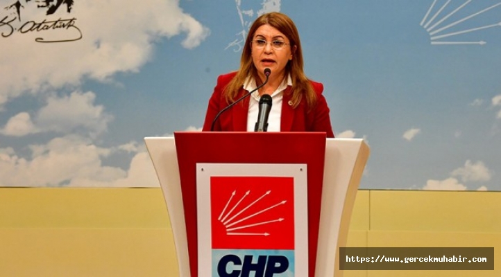 CHP'li Karaca: "AKP'li Çalık, Şehitler arasındaki ayrım yapıldığını açıkça itiraf etti