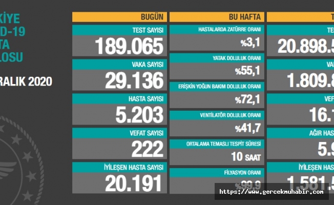 Türkiye'de koronavirüsten 222 kişi daha hayatını kaybetti