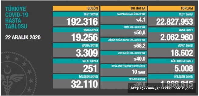Türkiye'de koronavirüsten 251 kişi daha hayatını kaybetti