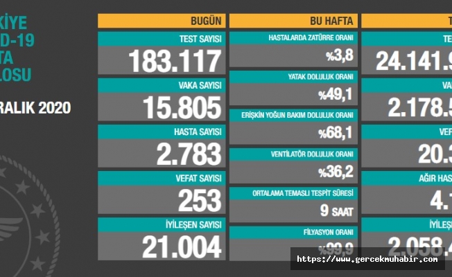 Türkiye'de koronavirüsten 253 kişi daha hayatını kaybetti