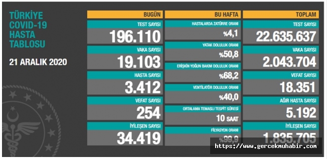 Türkiye'de koronavirüsten 254 kişi daha hayatını kaybetti